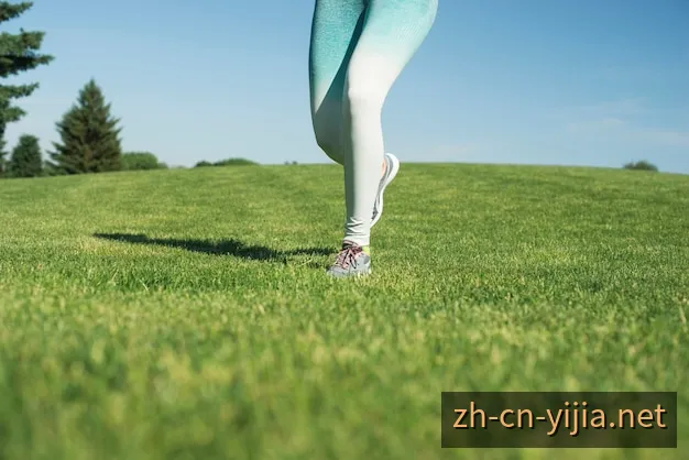 意甲球员资料与比赛场景